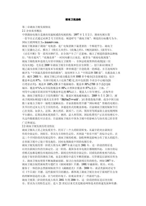 湖南卫视战略