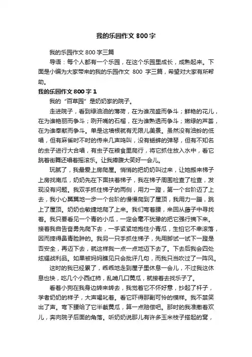 我的乐园作文800字