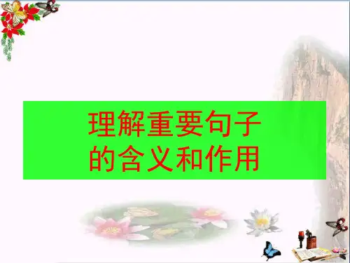 高考复习理解重要句子的含义和作用ppt