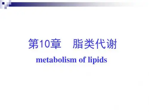 第十章 脂质代谢