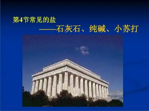 华师大版科学九上《常见的盐》课件