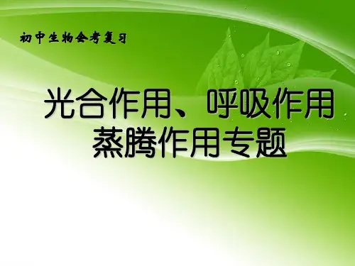 初中生物  光合作用、呼吸作用、蒸腾作用专题复习 人教版精品课件