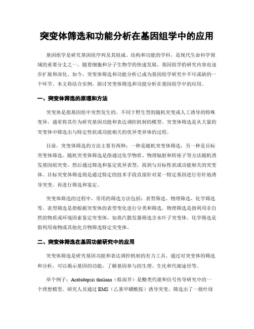 突变体筛选和功能分析在基因组学中的应用