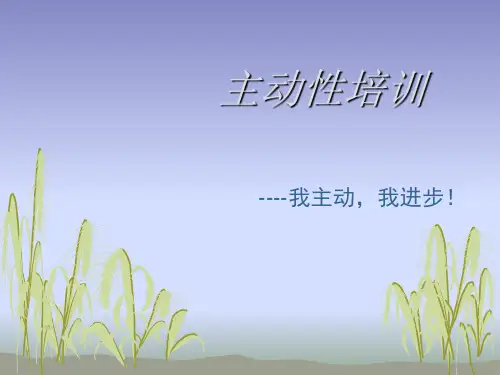 主动性培训