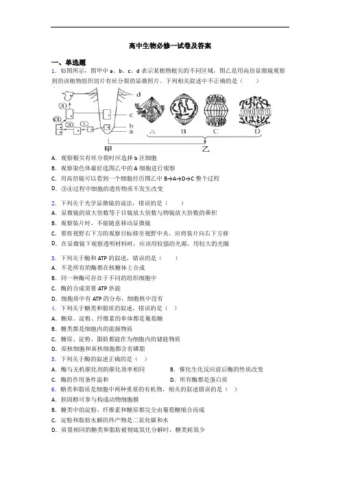 高中生物必修一试卷及答案