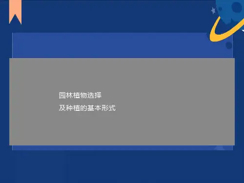园林植物种植的基本形式