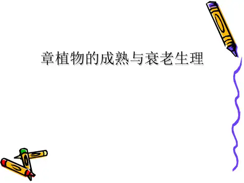 第九章植物的成熟与衰老生理