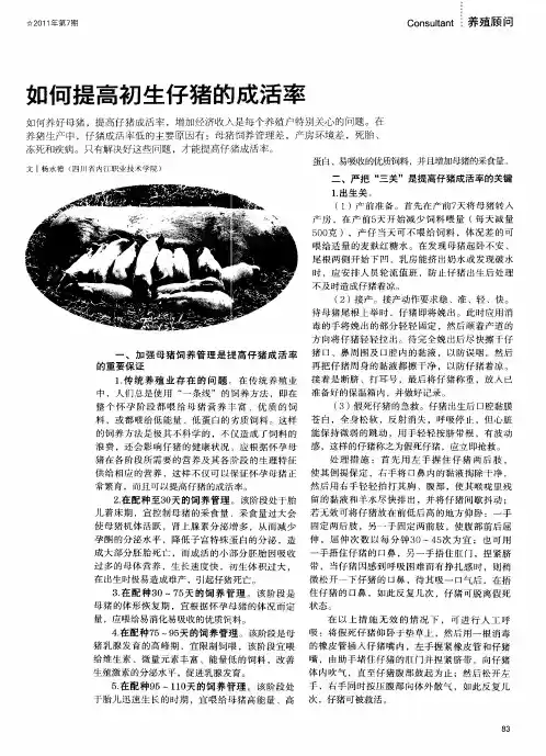 如何提高初生仔猪的成活率