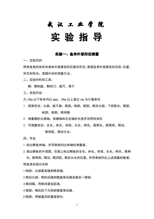 鱼类学实验指导