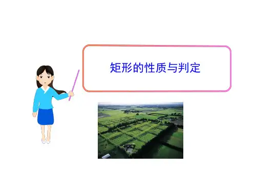 1.2矩形的性质与判定课件(共22张PPT)