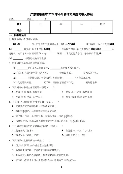 广东省惠州市2024年小升初语文真题试卷及答案