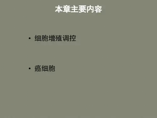 第14章细胞增殖调控与癌细胞