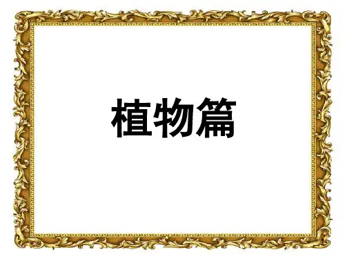 神奇的大自然ppt课件
