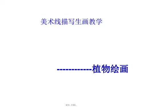 美术线描树叶写生教学(共13张PPT)