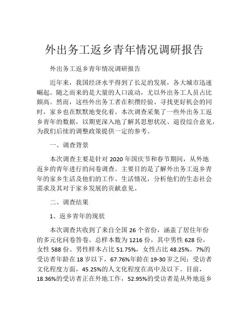 外出务工返乡青年情况调研报告