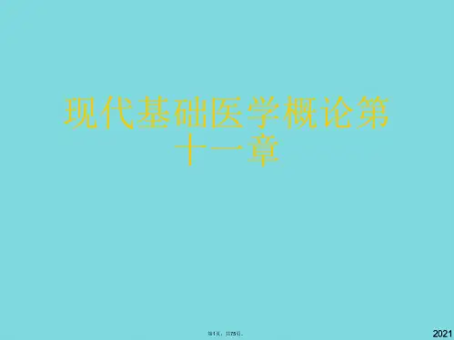 现代基础医学概论第十一章(共75张PPT)