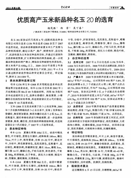 优质高产玉米新品种名玉20的选育