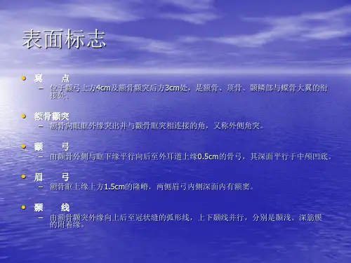 翼点入路的相关解剖和标准手术技术