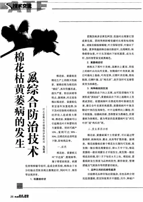 棉花枯黄萎病的发生及综合防治技术
