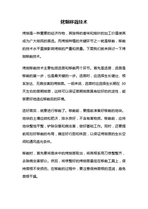 烤烟移栽技术