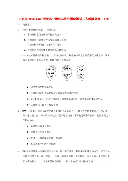 山东省2022学年高中生物遗传与进化模块测试23 新人教版必修2
