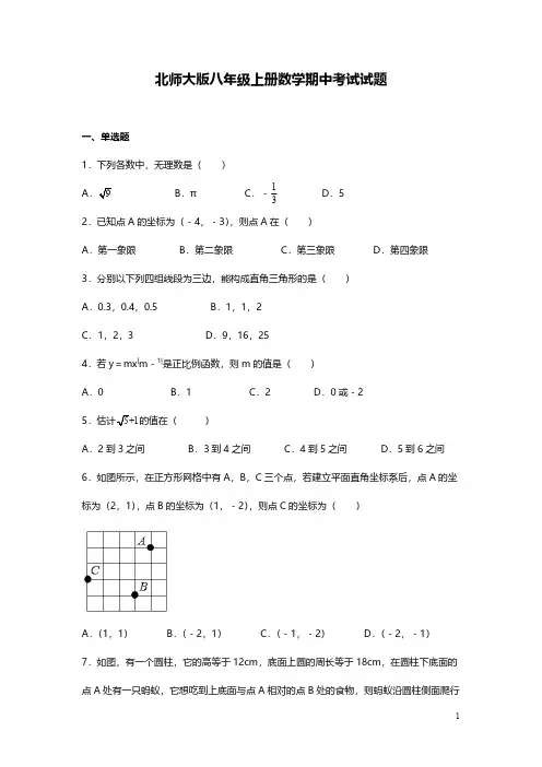 北师大版八年级上册数学期中考试试卷含答案