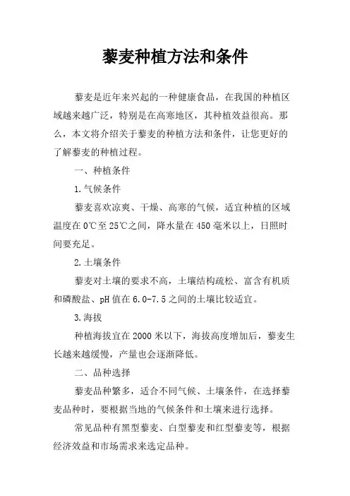 藜麦种植方法和条件