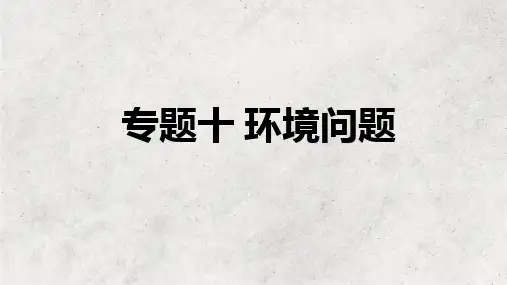 专题十 环境问题——2023届高考地理二轮复习课件