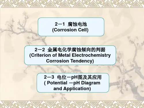 金属腐蚀与防护之二