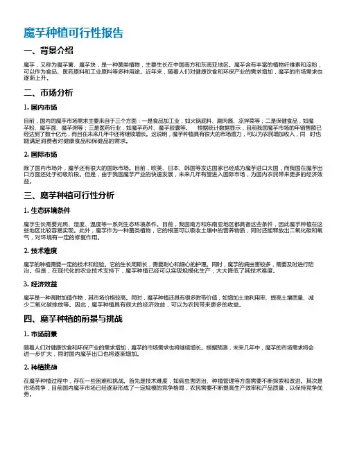 魔芋种植可行性报告
