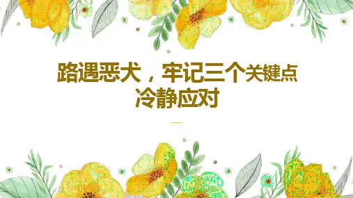 路遇恶犬牢记三个关键点冷静应对(课件)小学生安全教育主题班会(1)