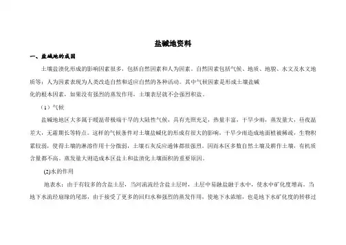 盐碱地资料