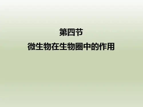 七年级生物上册第四节《微生物在生物圈中的作用》参考课件(002)