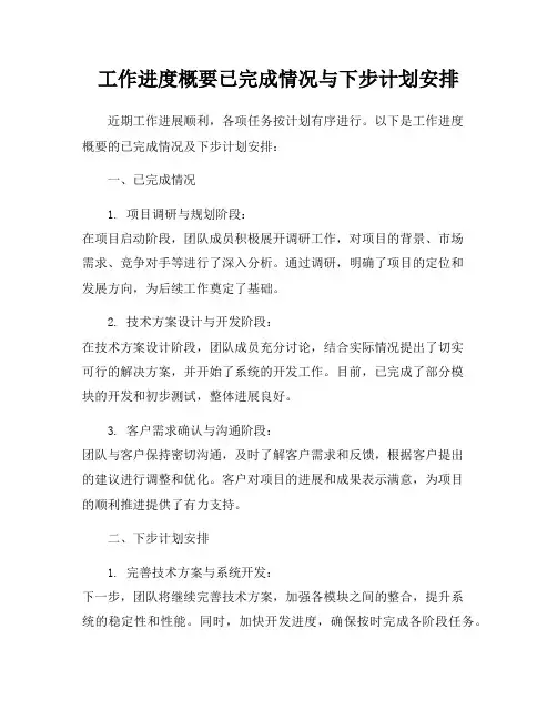 工作进度概要已完成情况与下步计划安排