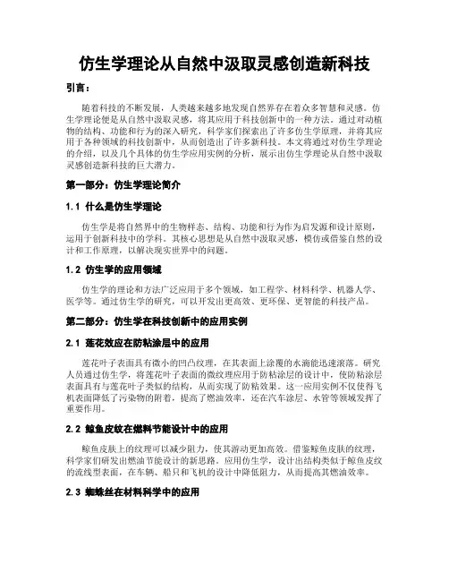 仿生学理论从自然中汲取灵感创造新科技
