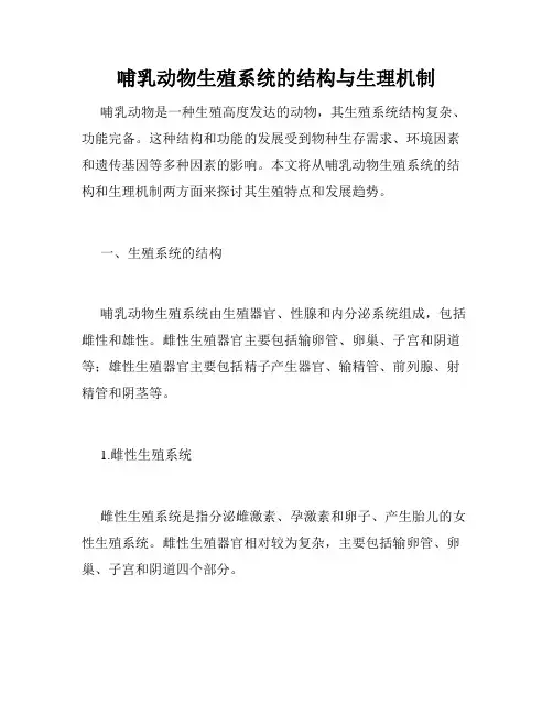 哺乳动物生殖系统的结构与生理机制