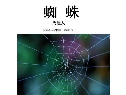 《蜘蛛》课件