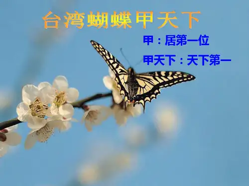 《台湾蝴蝶甲天下》(讲课用)