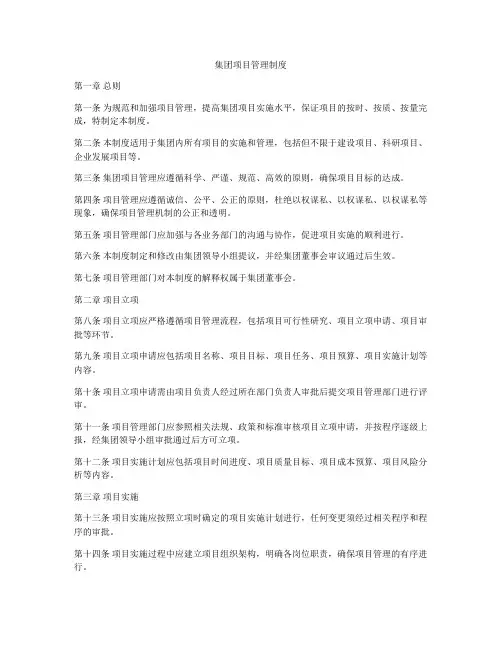 集团项目管理制度