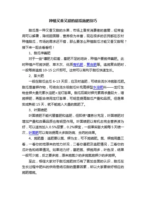 种植又香又甜的甜瓜施肥技巧