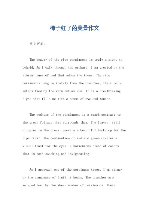 柿子红了的美景作文