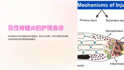 急性脊髓炎的护理查房