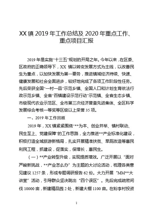 乡镇2019年工作总结及2020年重点工作、重点项目汇报
