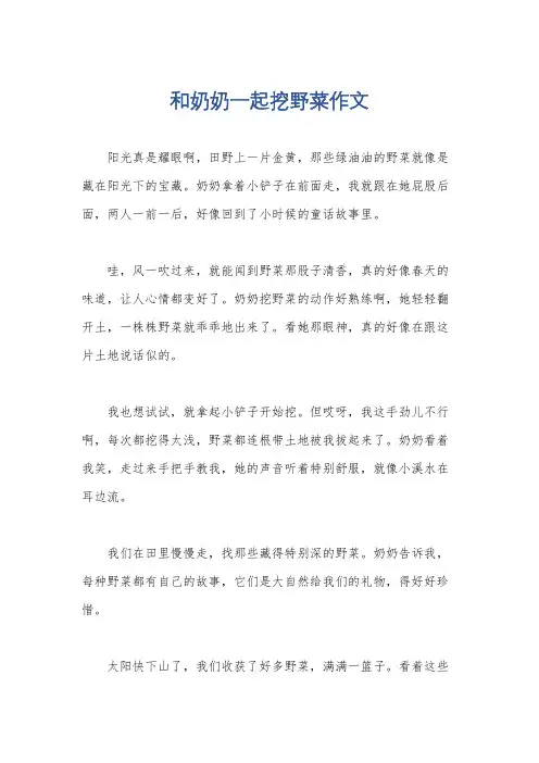 和奶奶一起挖野菜作文