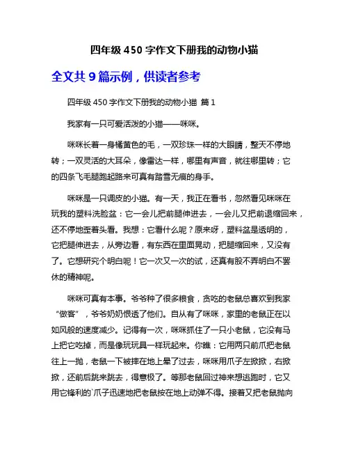 四年级450字作文下册我的动物小猫