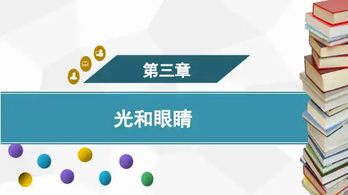 3.3.2平面镜成像特点及应用  训练课件 2024-2025-沪粤版(2024)物理八年级上册