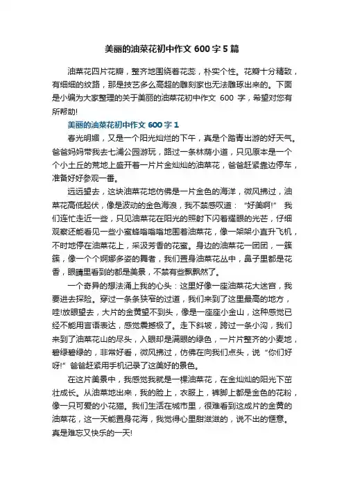 美丽的油菜花初中作文600字5篇