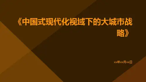 中国式现代化视域下的大城市战略