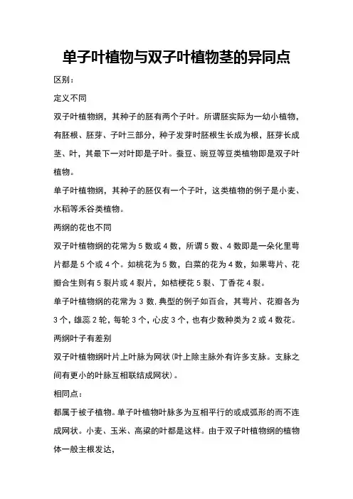 单子叶植物与双子叶植物茎的异同点
