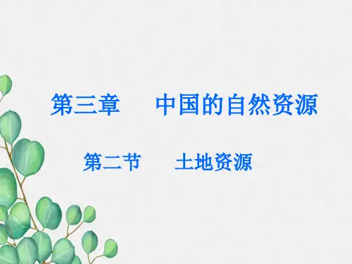 《土地资源》PPT课件 (公开课获奖)2022年人教版地理 (13)
